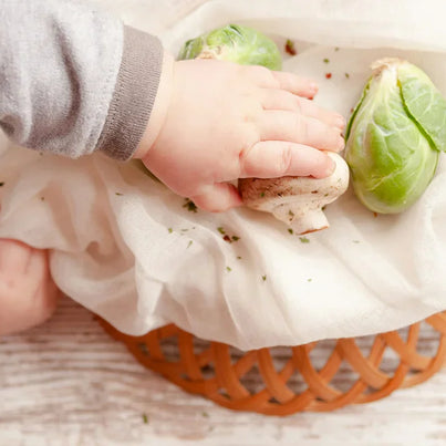 Petit guide d’introduction des morceaux dans la diversification alimentaire des bébés