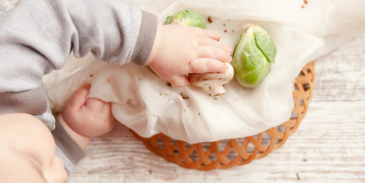 Petit guide d’introduction des morceaux dans la diversification alimentaire des bébés