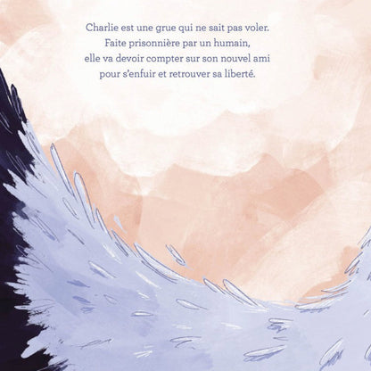 Livre enfants Charlie L'Envol - Auzou