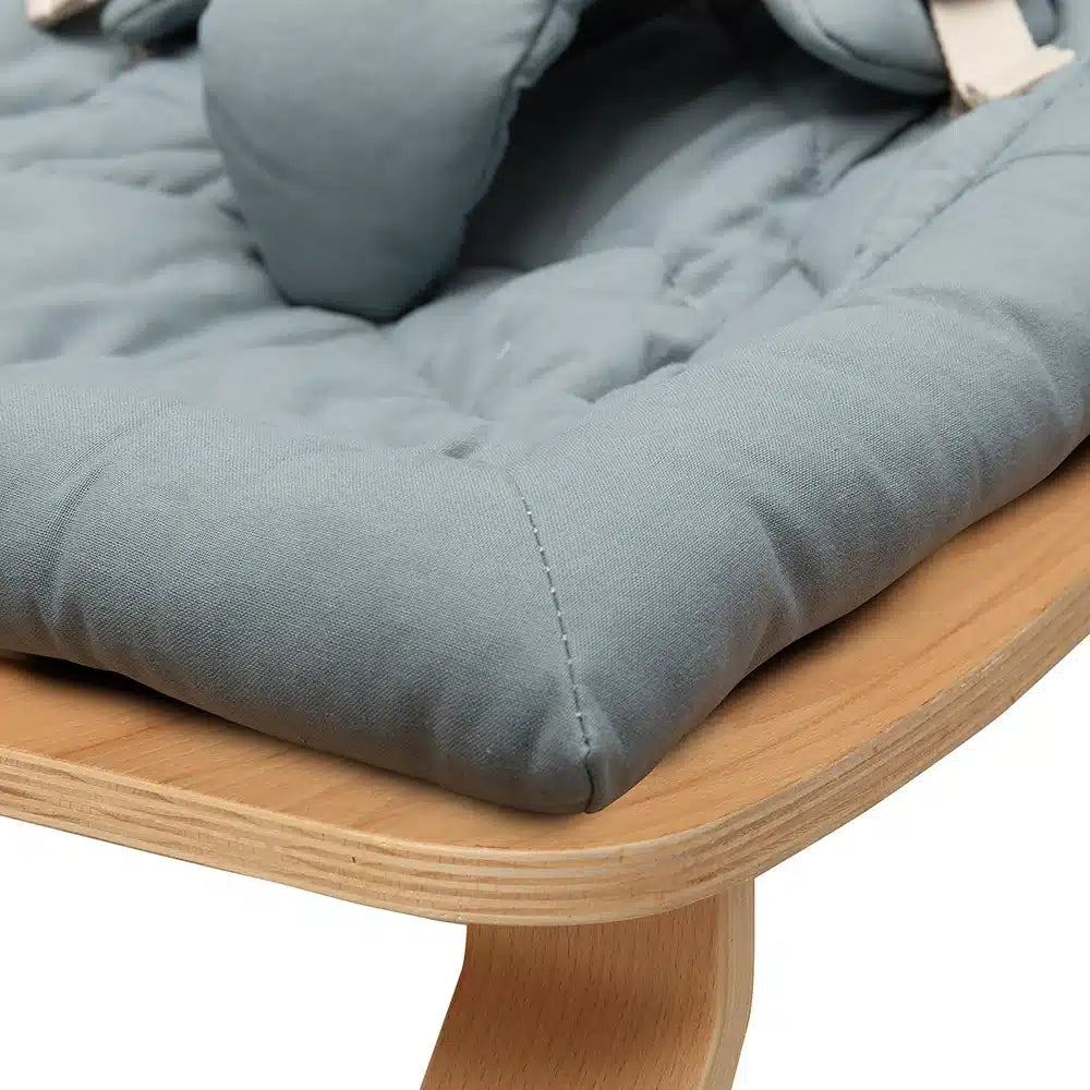 SEAT ORGANIC ORAGE