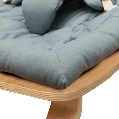 SEAT ORGANIC ORAGE
