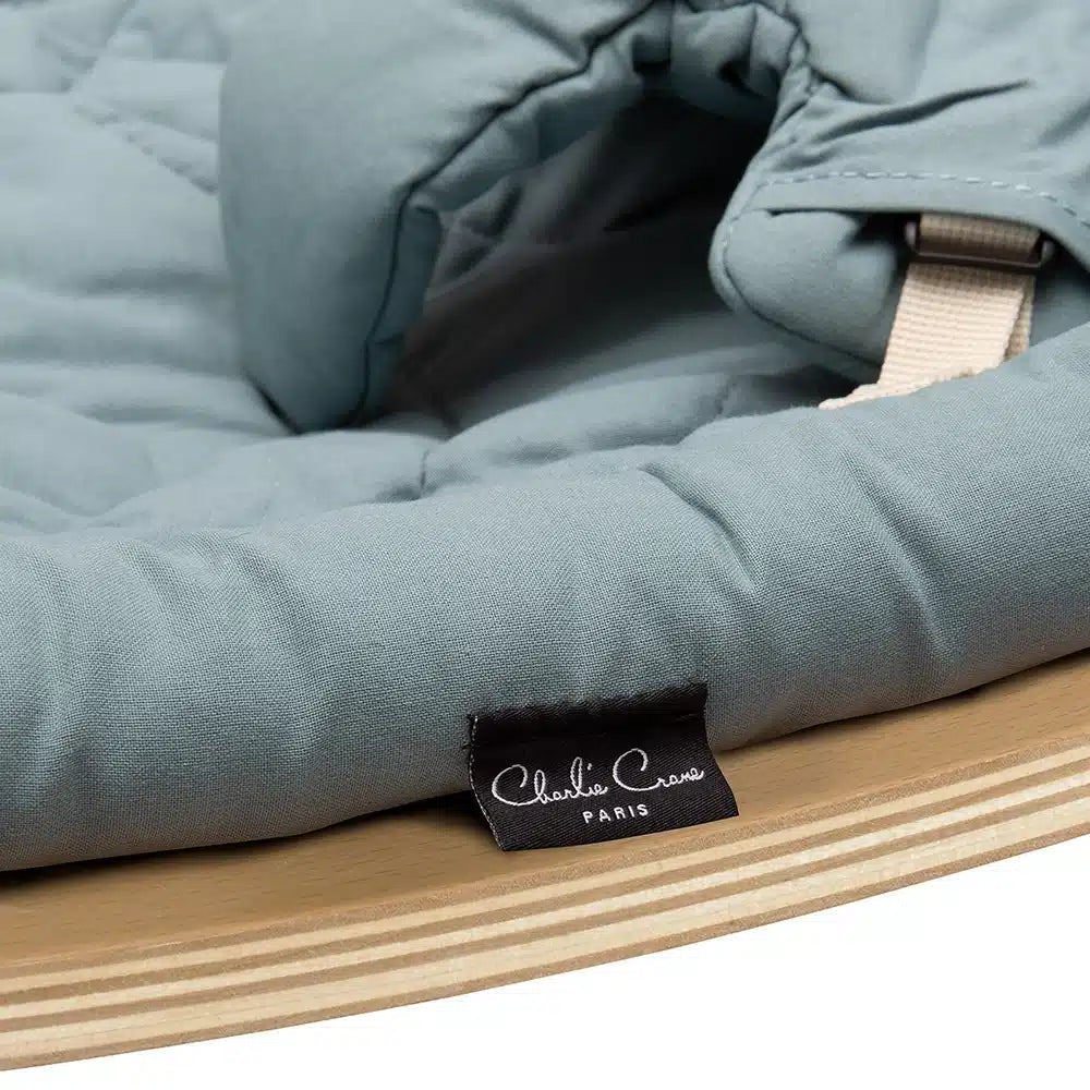 SEAT ORGANIC ORAGE